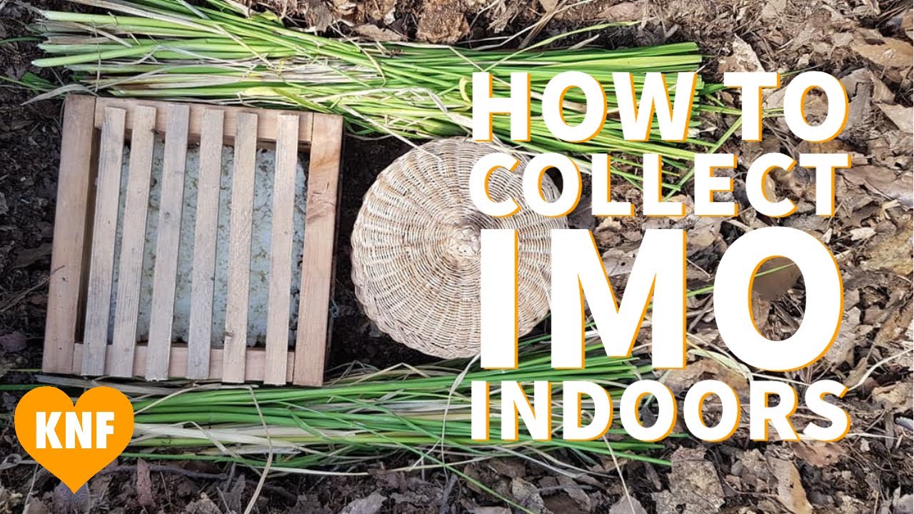 Howto Collect IMO Indoor Greenhouse & Cold Weather KNF