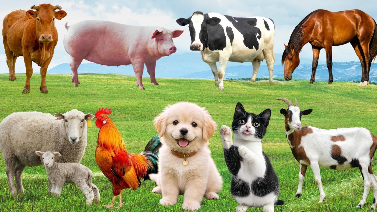 🌿 Đồng Quê Ngập Tràn “Show Diễn Thân Thương” – Khoảnh Khắc Muôn Loài Đầy Hạnh Phúc | Animals 🐶🐱🐷🐓