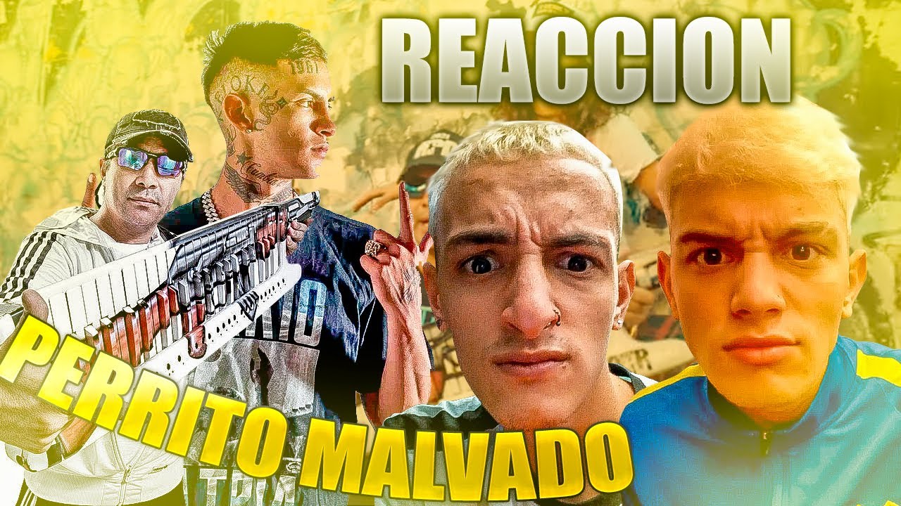 REACCION A PERRITO MALVADO