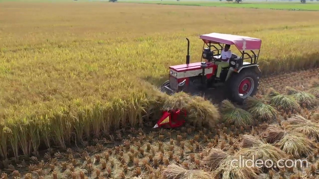 Shakti kissan paddy Reaper cum Binder 9671764008,8087022202