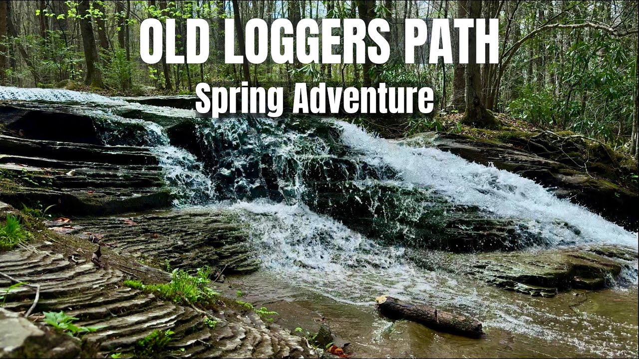 Old Loggers Path Adventure | Hammock Camping, Vistas & Spring Streams
