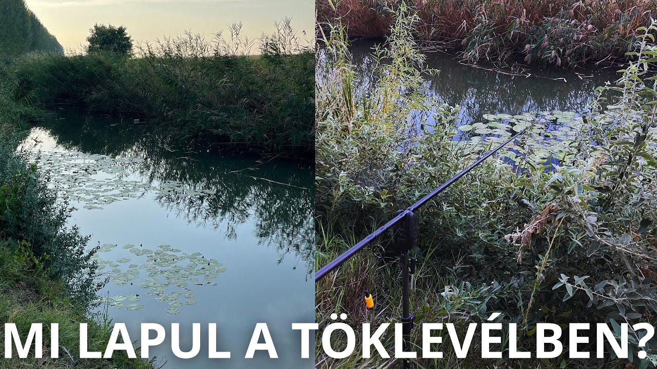 Rapid csatorna horgászat, jól megszivattak. 😰🐟