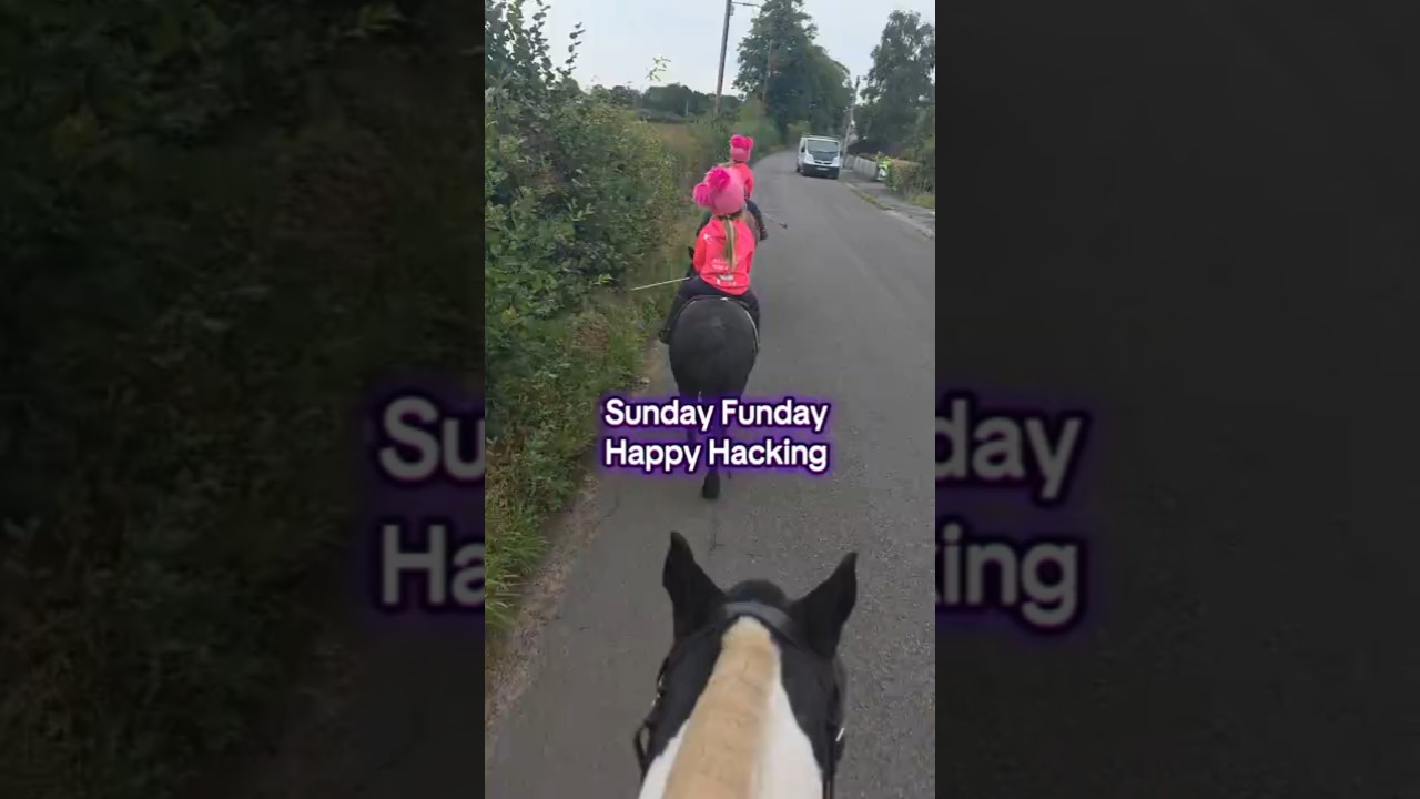 Happy hacking vibes 😎✌️ #happyhacking #horseriding #equestrianvlog #equestrianfamily #horsevlog
