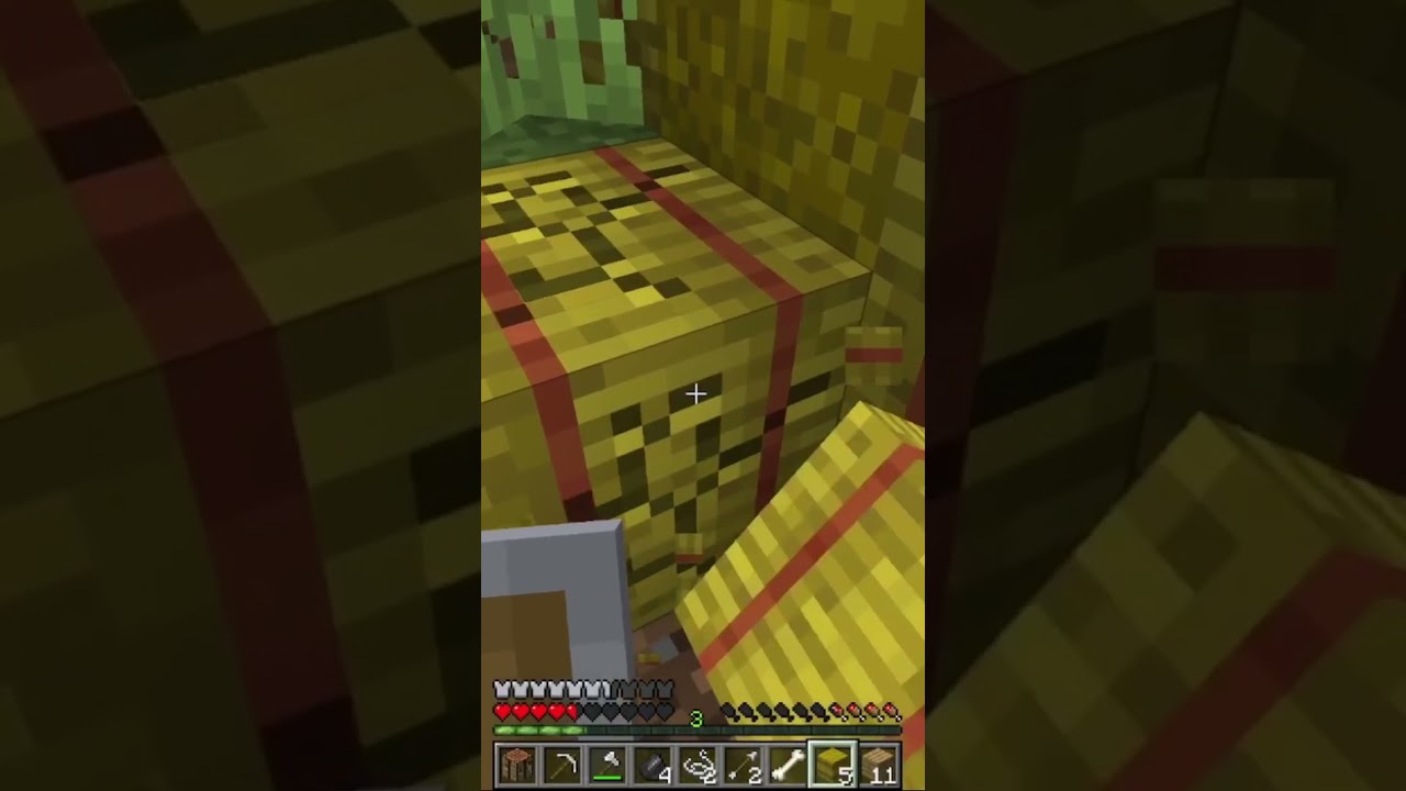 Minecraft, but mobs have random effects