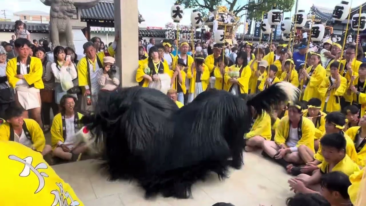令和7年大塩天満宮秋祭り西之丁獅子舞