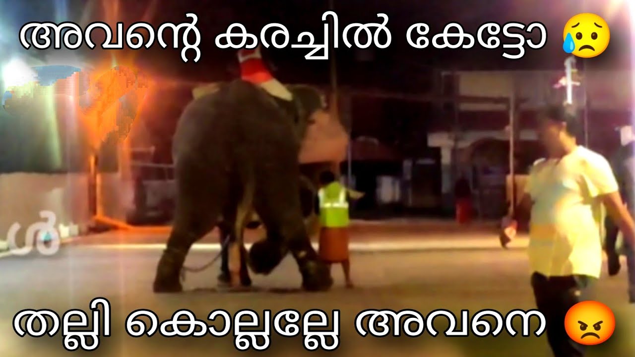 നിന്ന് അടികൊള്ളുവാണല്ലോ വിനായകൻ 😡 പിണ്ഡം ഇടാൻ പറ്റുന്നില്ല അതിനും അടി ഇങ്ങനെ ഒന്നും ചെയ്യില്ലേ 🙏