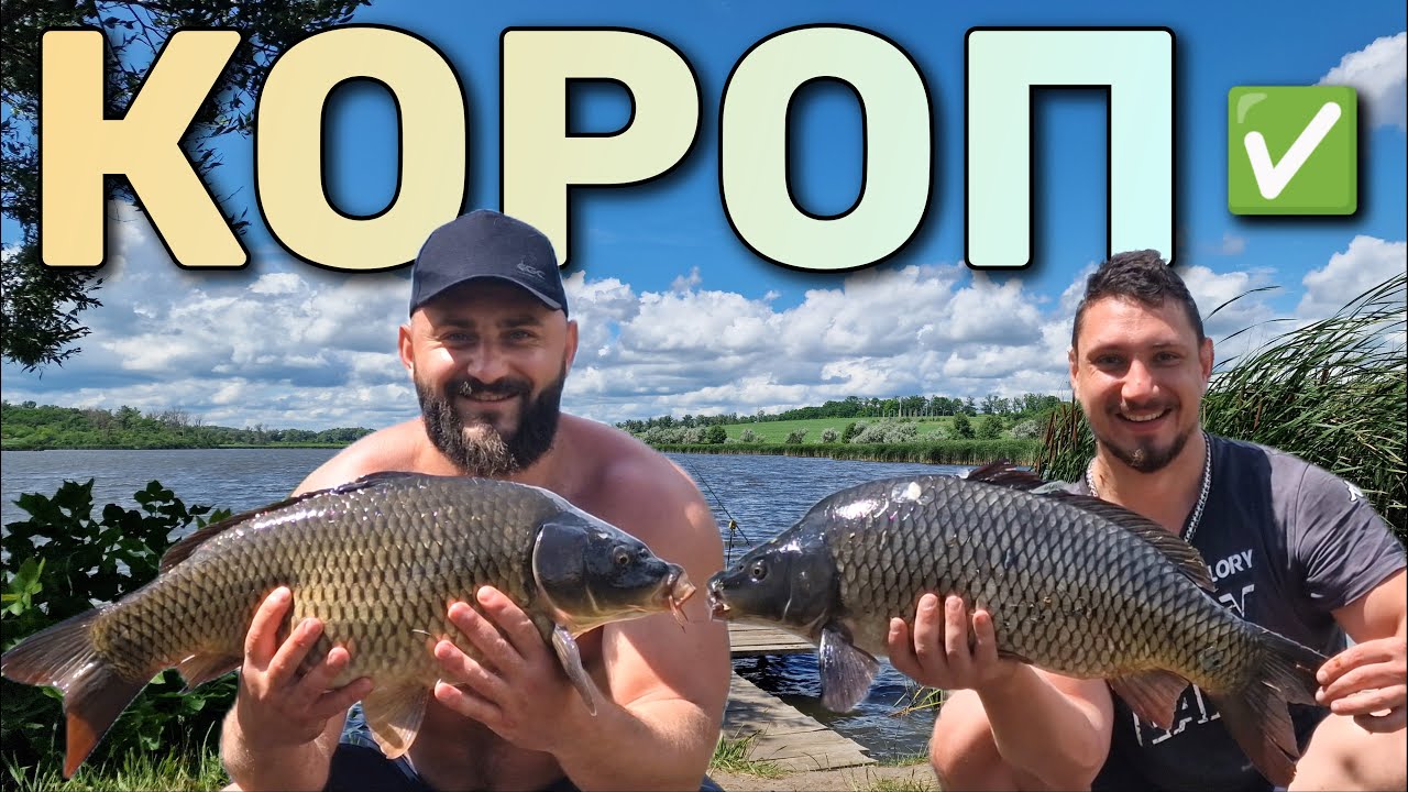 КОРОПИ ВИШИКУВАЛИСЯ В ЧЕРГУ!!! Рибалимо другу добу/ Серія 2.