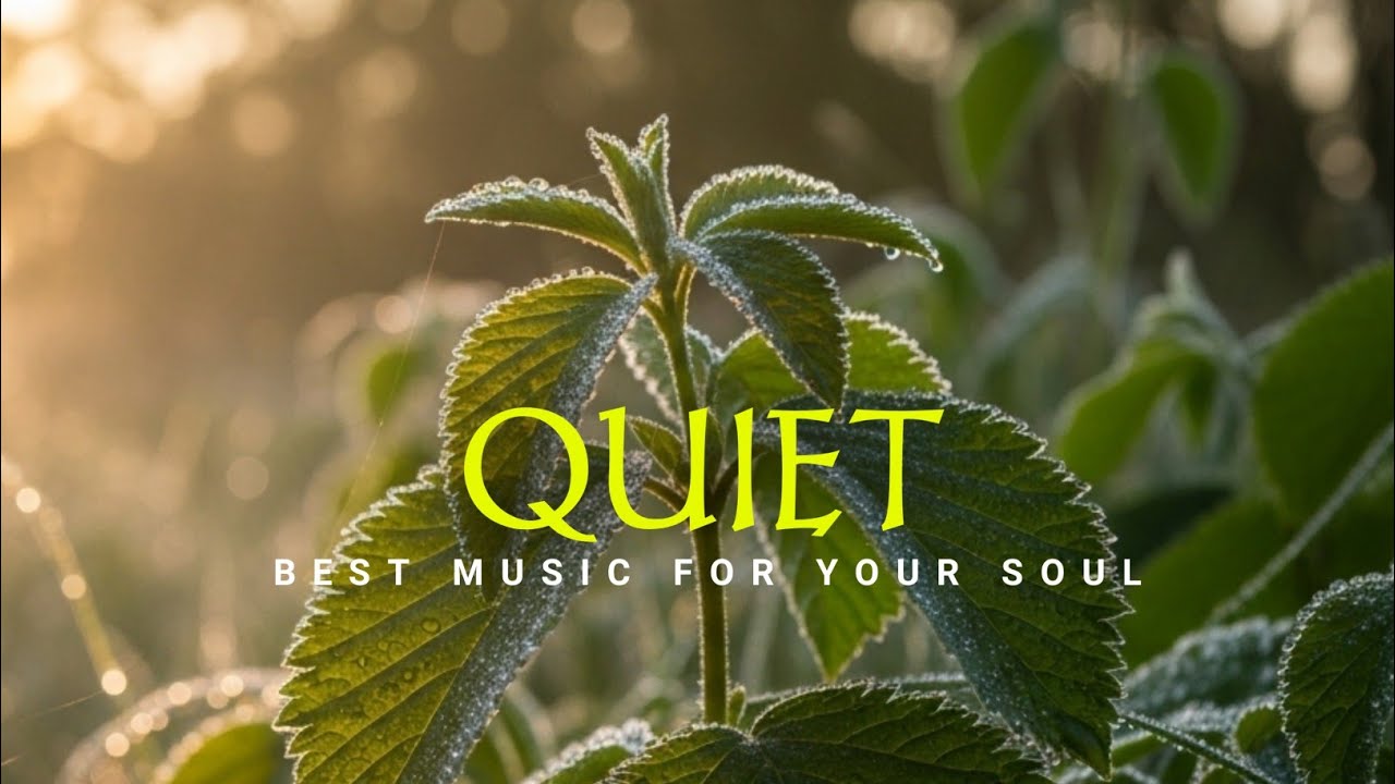 Calming Music for Stress Reduction & Peaceful Mind | Beautiful Piano Music — Stop Overthinking