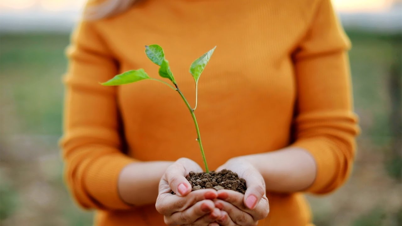 Responsible Investing: Myths and Reality | Envision Financial