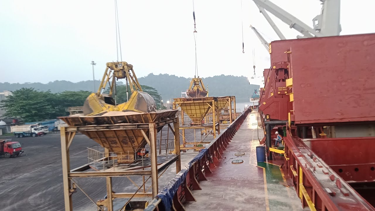 Stevedoring Officer sedang live sekarang!