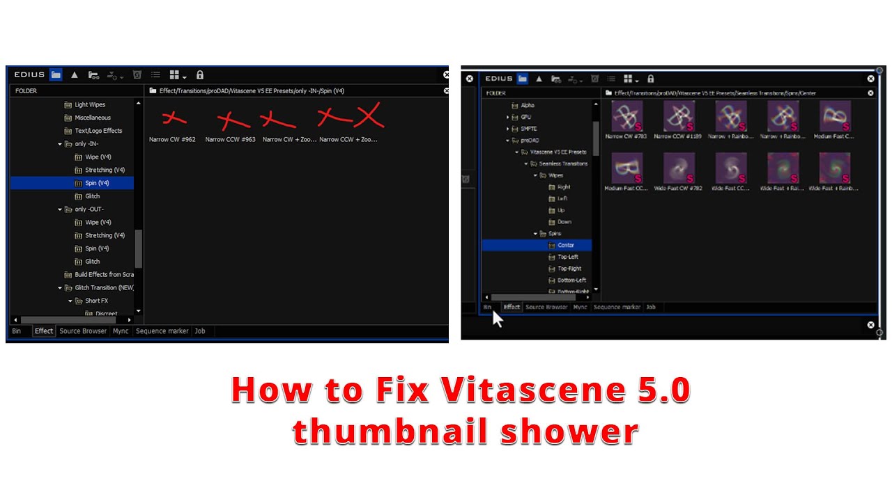 EDIUS 11 Plugin Vita-scene Fix tramlines show