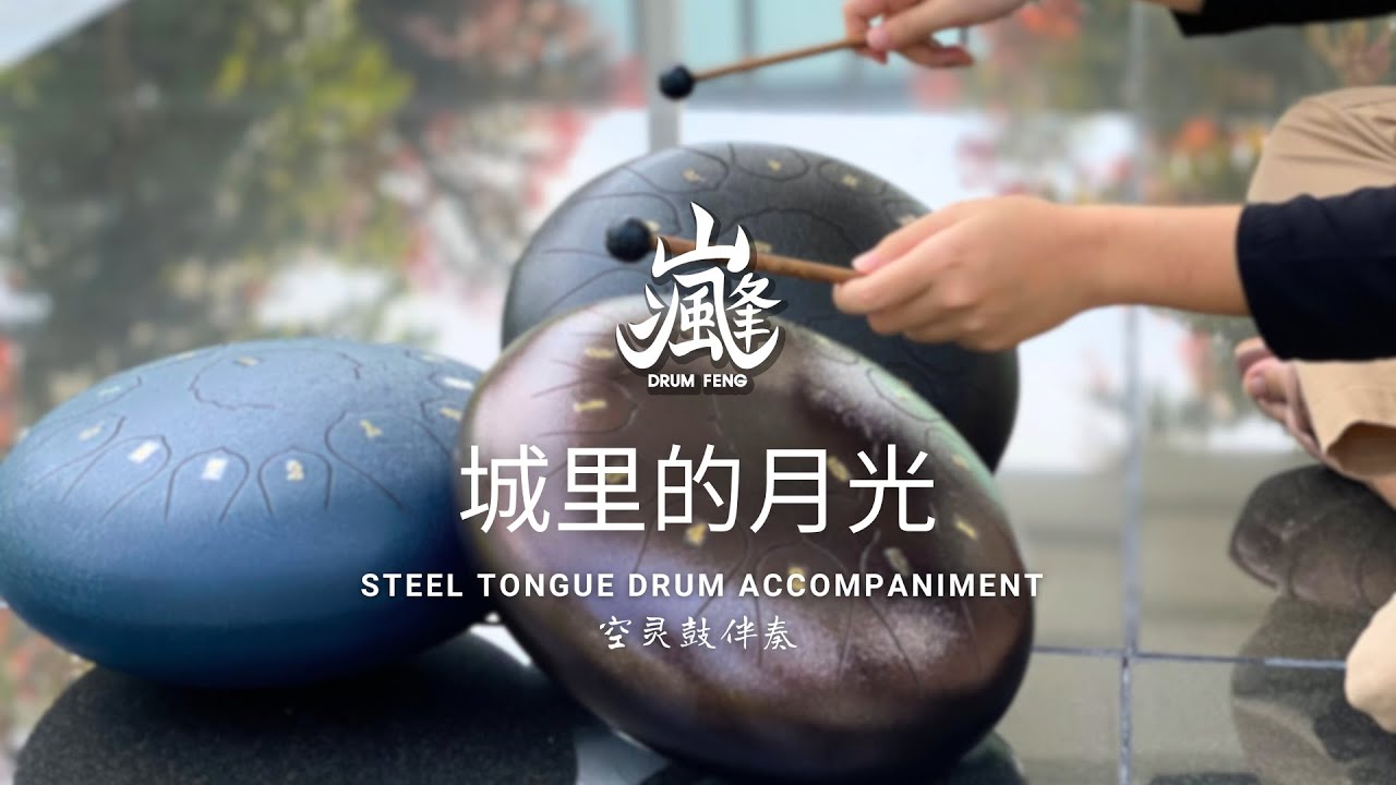 城里的月光 by Mavis Hee  | Steel Tongue Drum