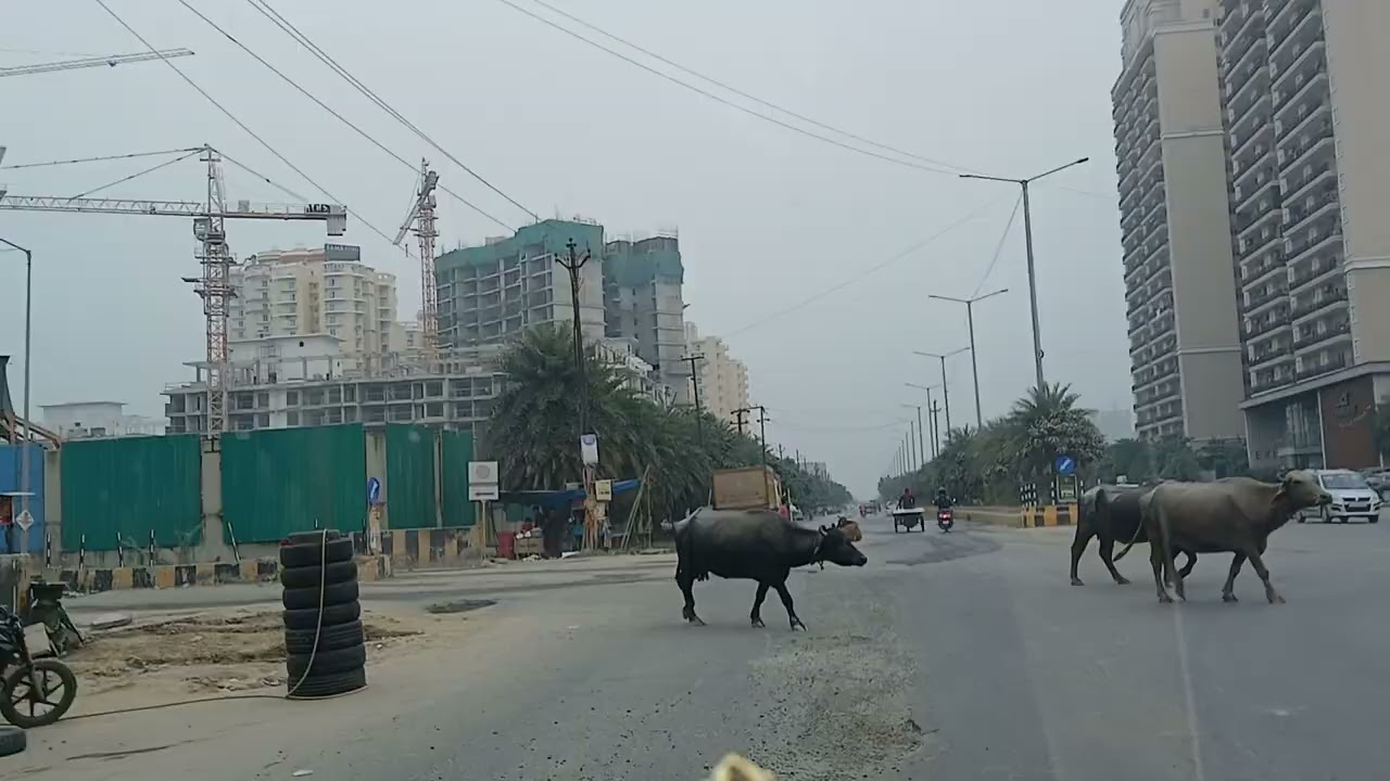 Sector 150 Noida| why you should not buy here in 2025|