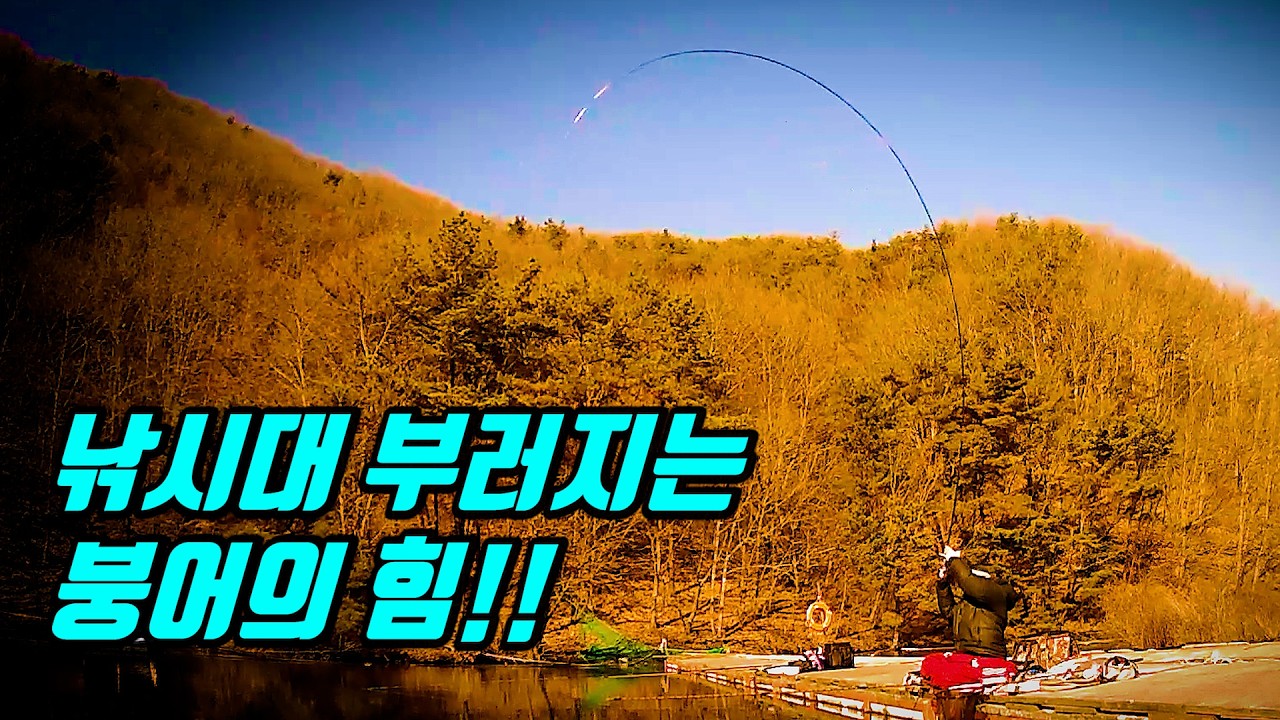 여기 붕어들이 진짜 미쳤습니다. 이 겨울에 30마리가 말이되냐고...