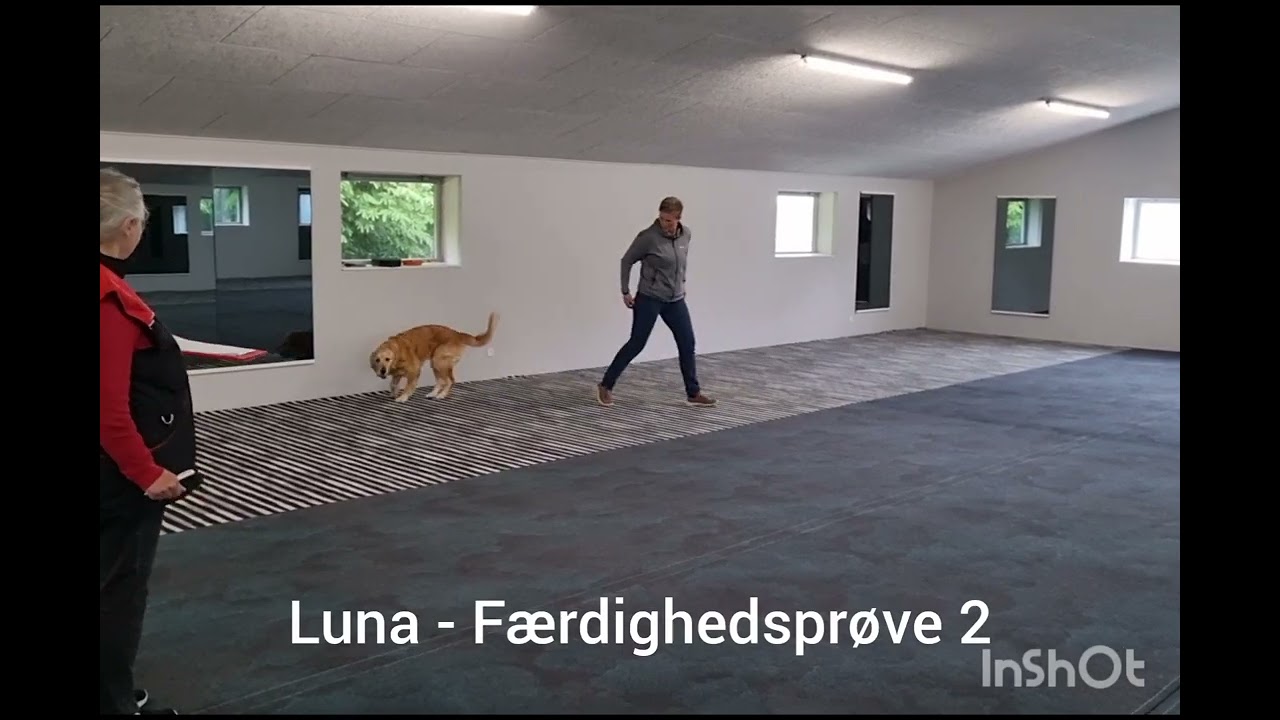 Luna Færdighedsprøve 2