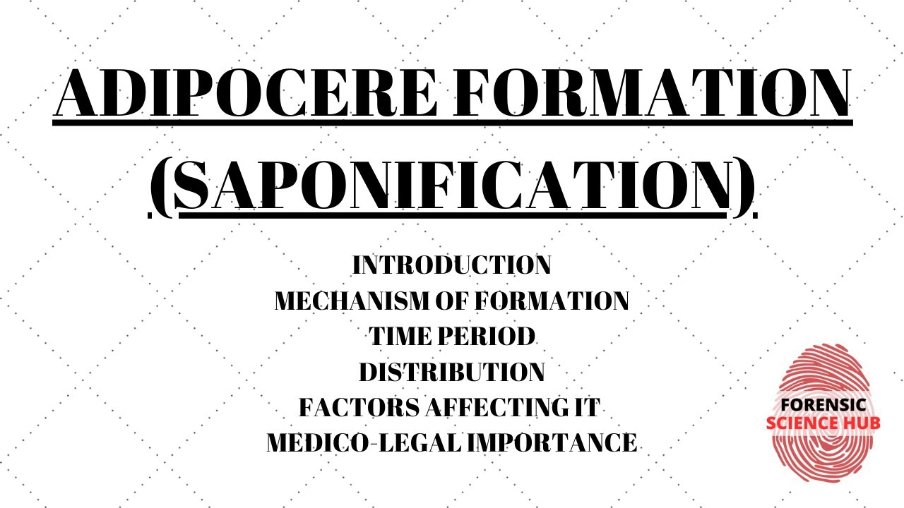 Adipocere formation | Saponification | Forensic medicine | UGC NET Forensic science notes