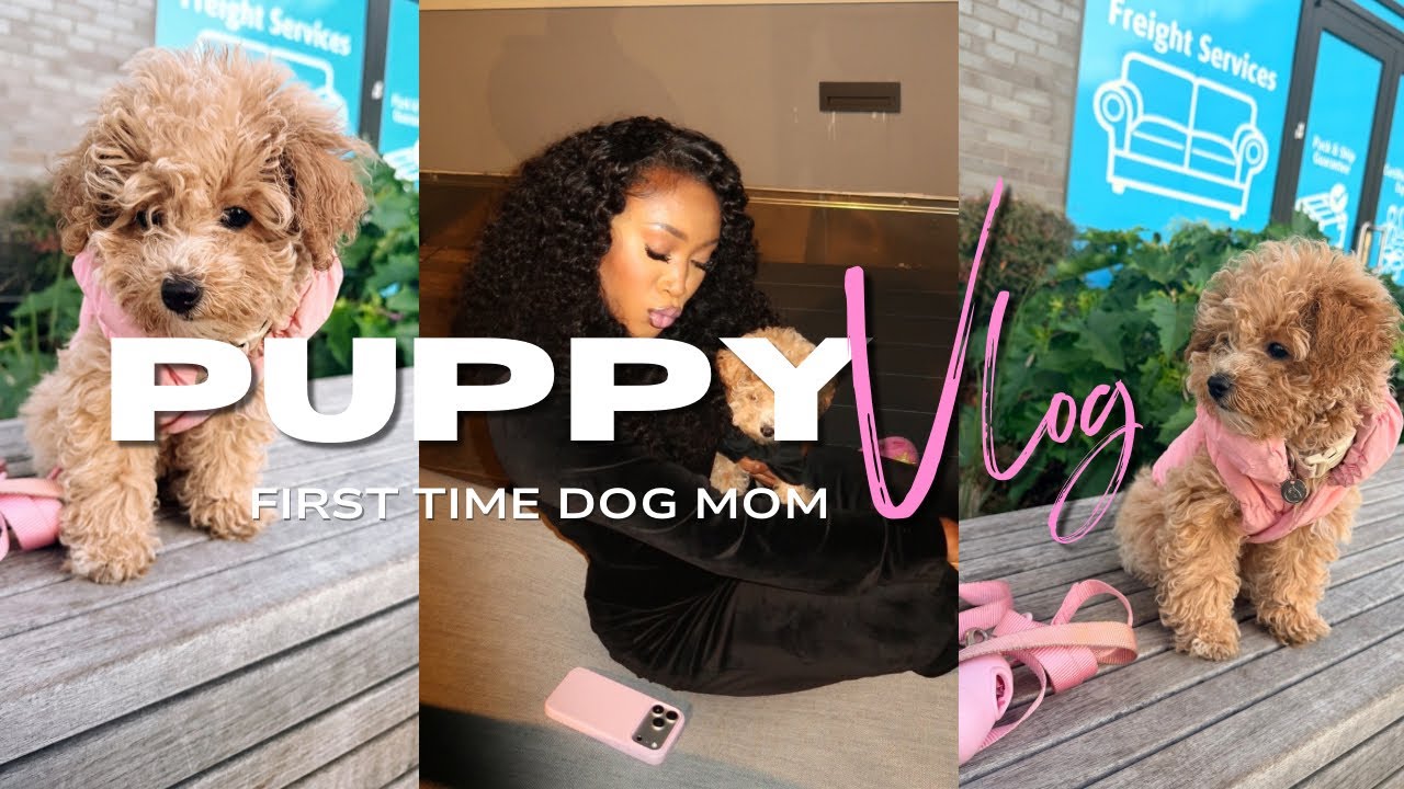 FIRST DAYS WITH MY NEW PUPPY!🐶first vet appointment,puppy school, dog mom life!
