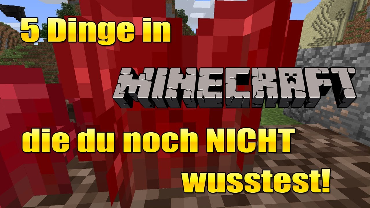 5 Dinge in Minecraft ... die du noch NICHT wusstest! #16