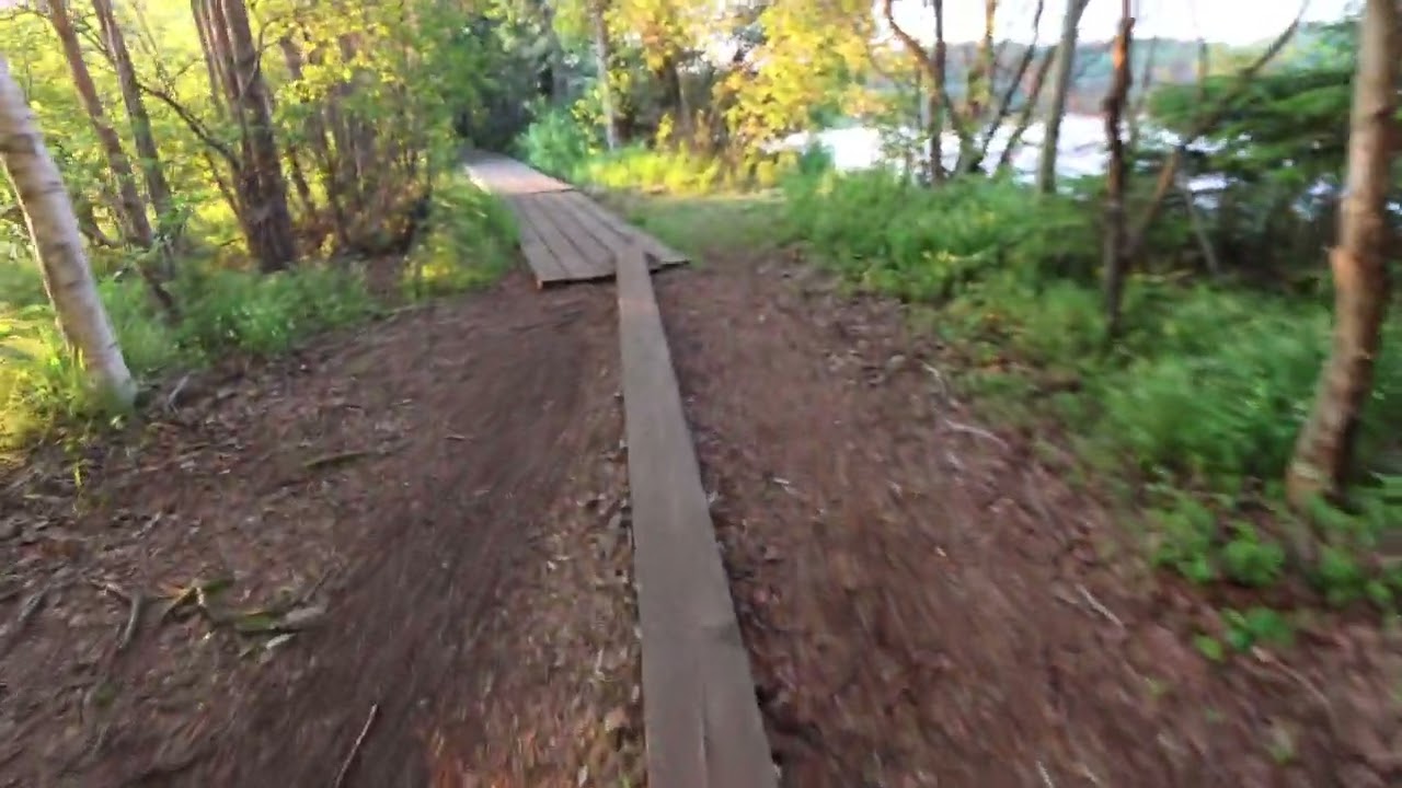 Forrestbath. Walktrought on cozy Finnish nationalpark Liesjärvi Kyynäränharju on 4k