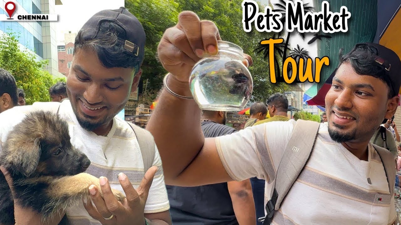 Chennai Pets Market Tour - Complete Guide | Sunday Kozhi Market Guide