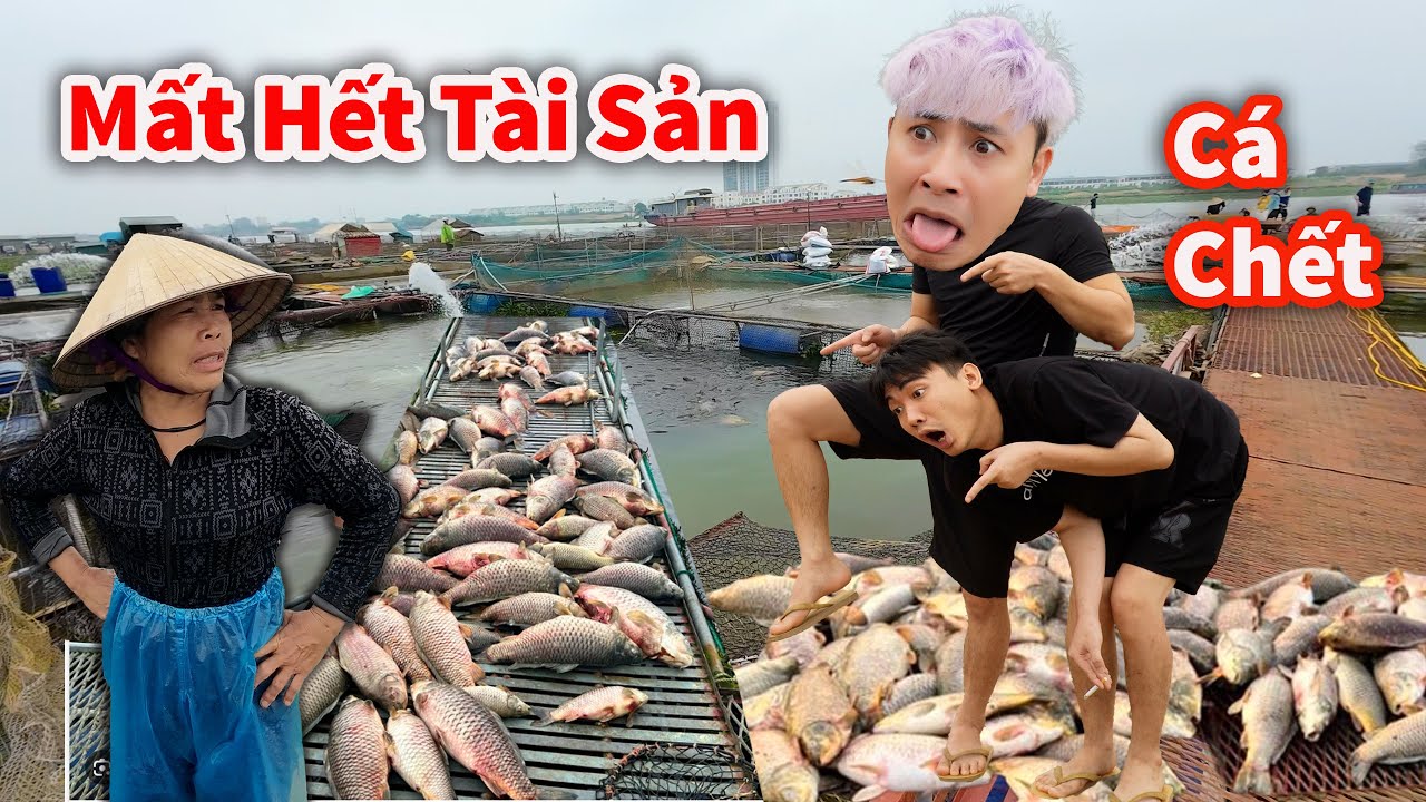 Hậu Cáo - Nỗi Khổ Của Người Dân Nuôi Cá Phá Sản