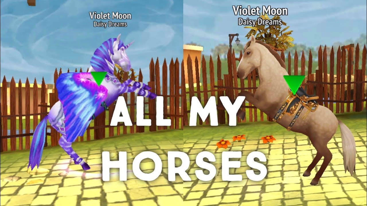 All My Horses In Horse Riding Tales