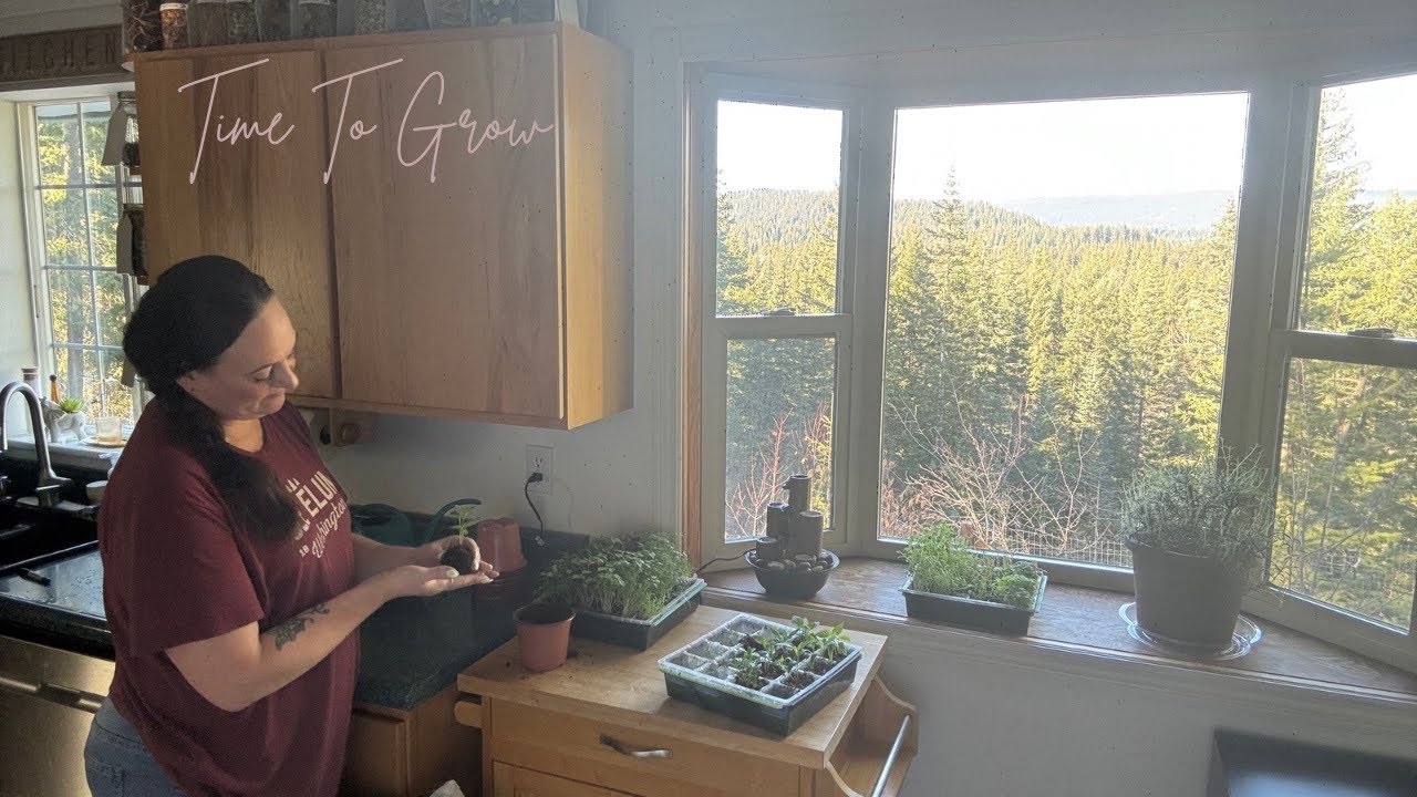 Transplanting Indoors- Winter Garden Reset