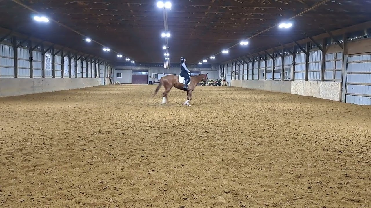 Nicole Archer - Goodwin Machine - Training Level Test 2