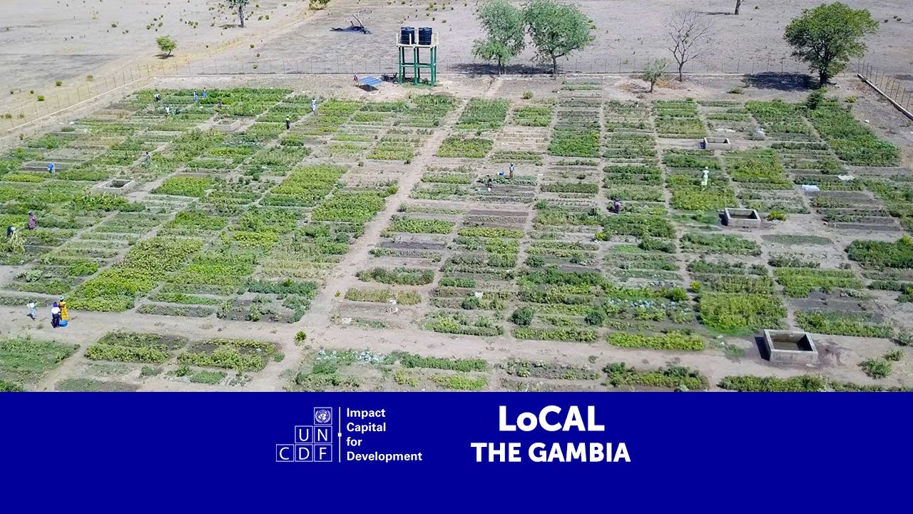 Green Transformation in Kataba Omar - The Gambia