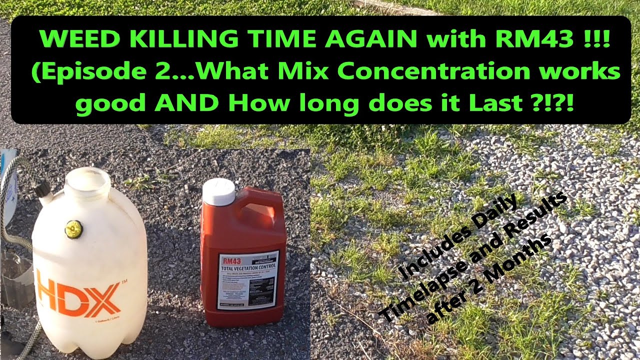 RM43 Weed Killer - What Concentration to Use and How Long does it Last ?!?! (Includes Time Lapse)