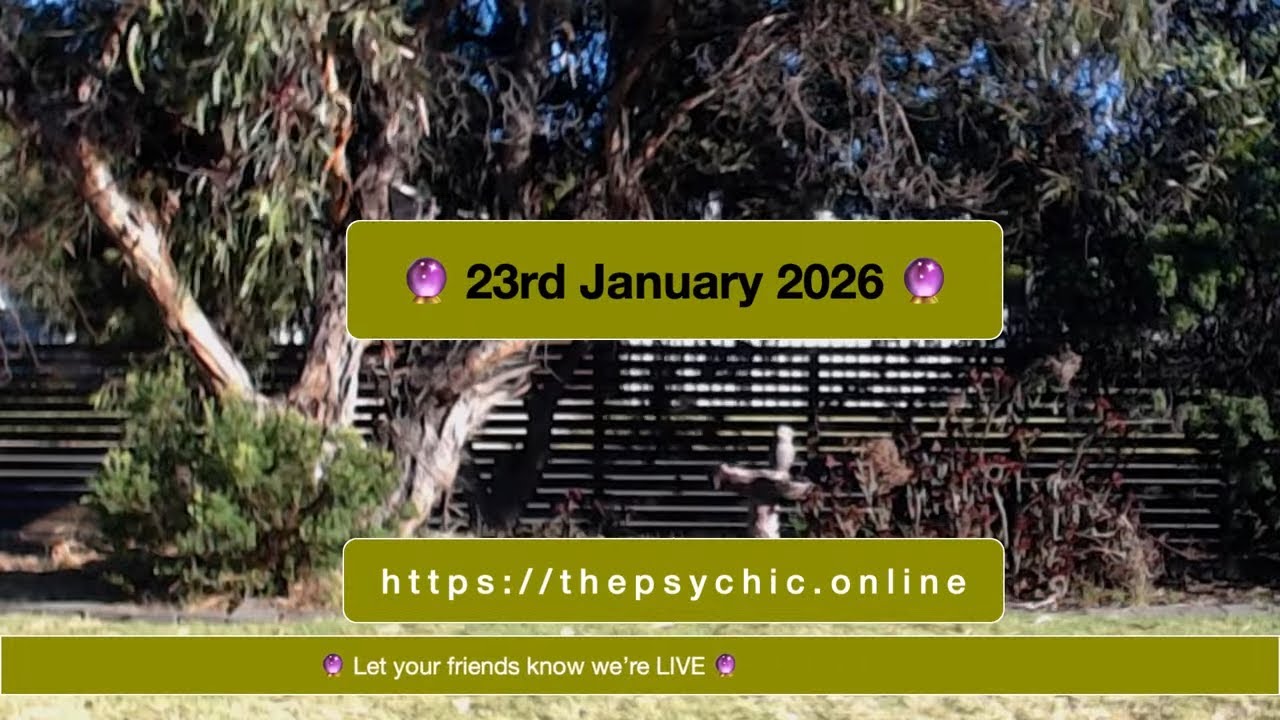 🔮 23rd January 2026 🔮 The Card Reading for Today