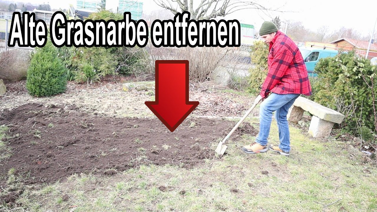 Rasen abtragen - Alte Grasnarbe entfernen Anleitung - Alten Rasen abstechen & abziehen