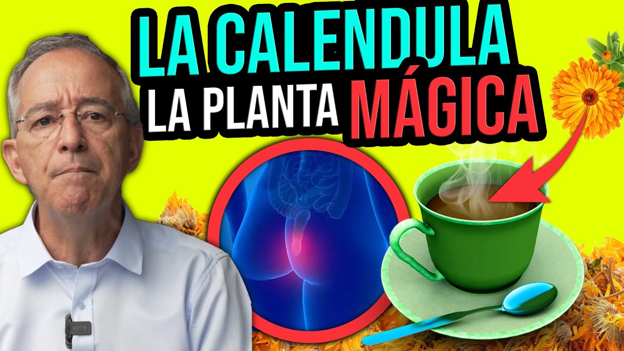 LA CALENDULA BENEFICIOS Y RESULTADOS COMPROBADOS - Oswaldo Restrepo RSC