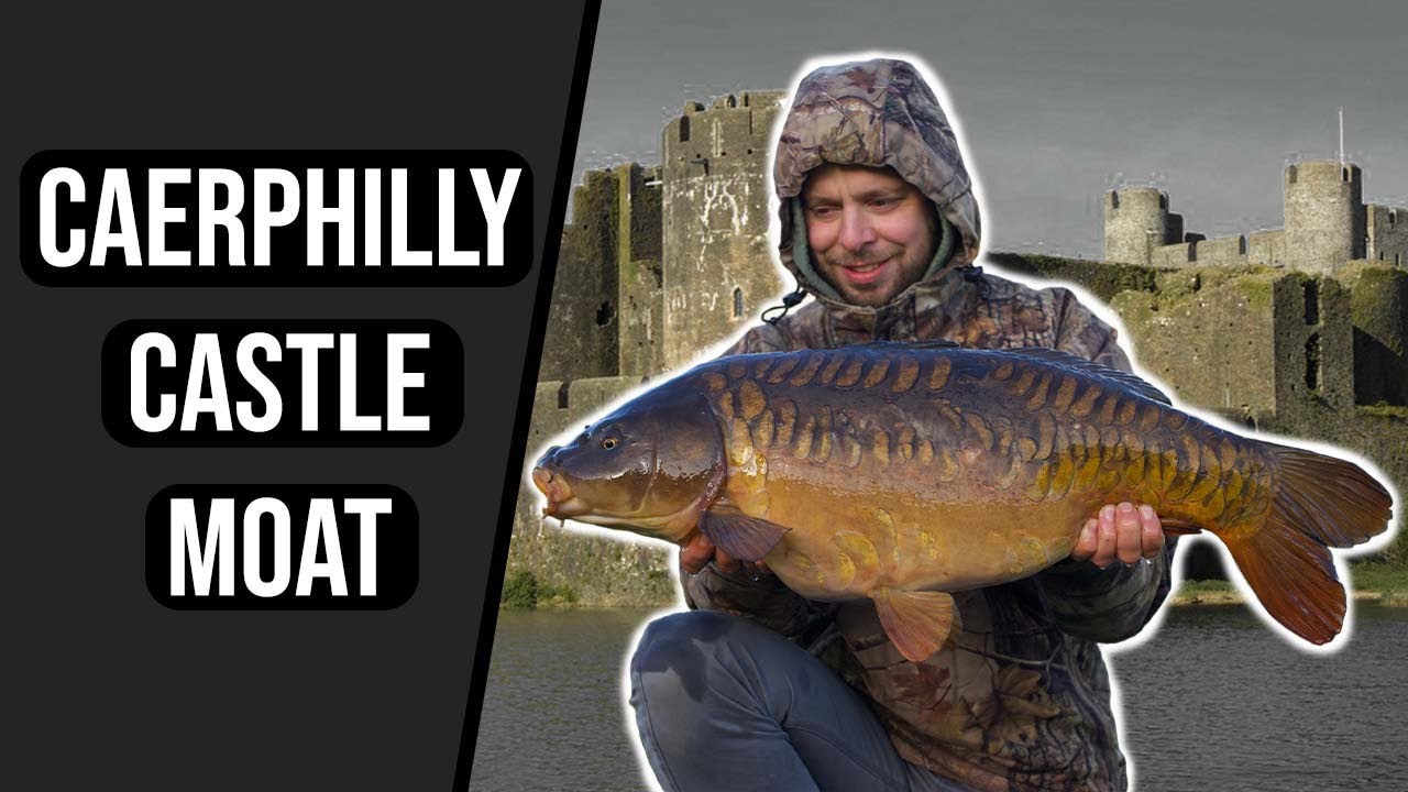 Carp fishing in Wales - Caerphilly Castle Moat