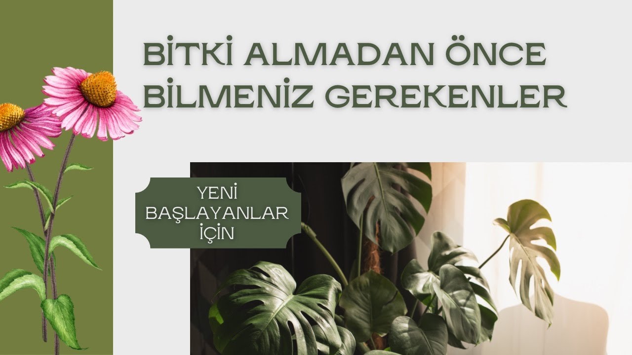 BİTKİ BAKIMININ PÜF NOKTALARI