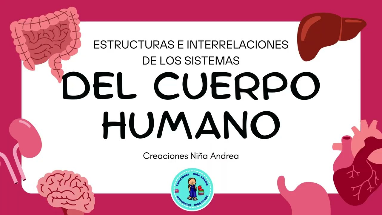 Interrelaciones de los sistemas del cuerpo humano 5°
