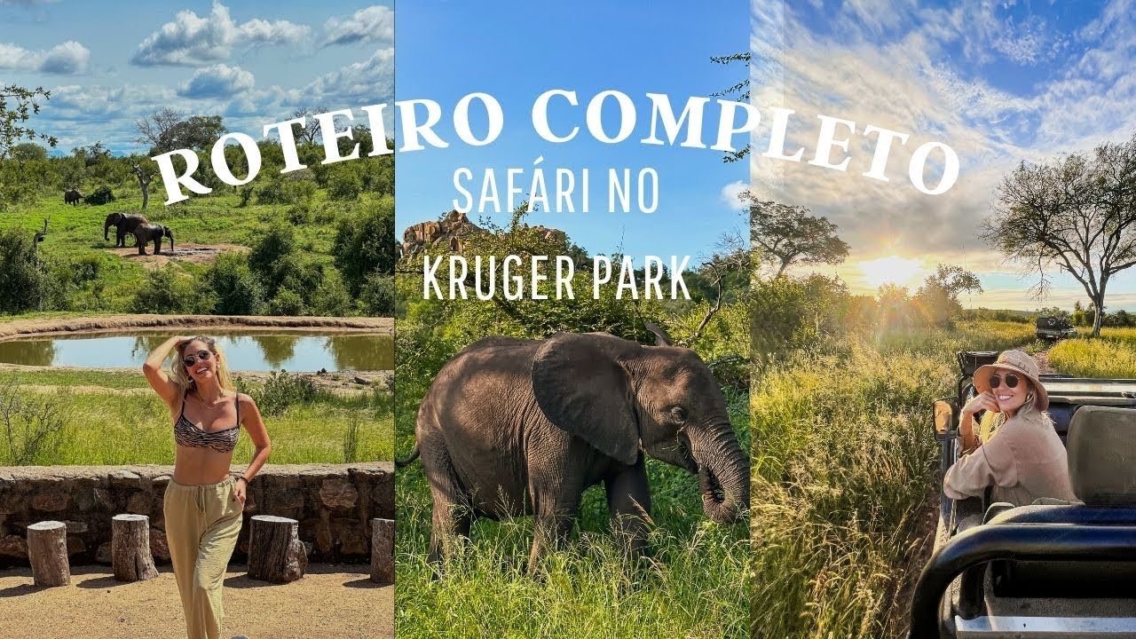 Como é fazer um safári na África do Sul | Nosso roteiro completo no Kruger