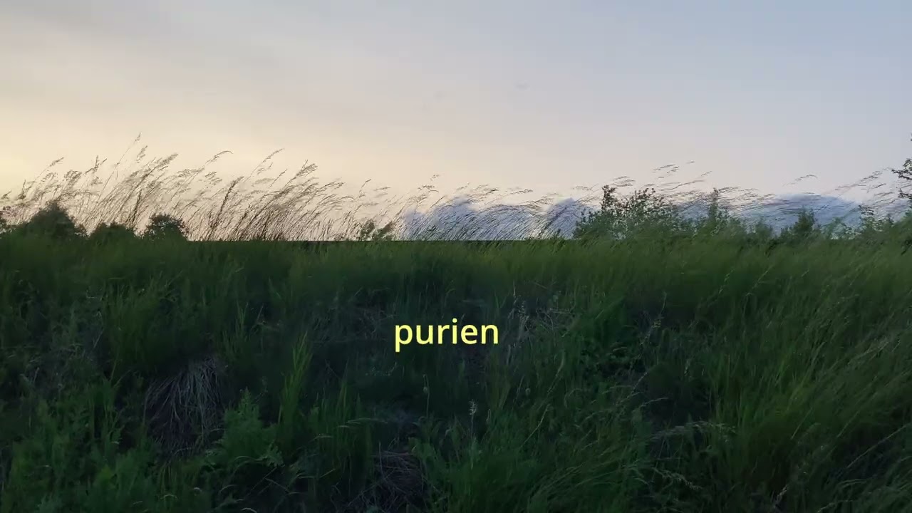 tėvas (tik atsiminimas, atsiminimas) tik autobusas