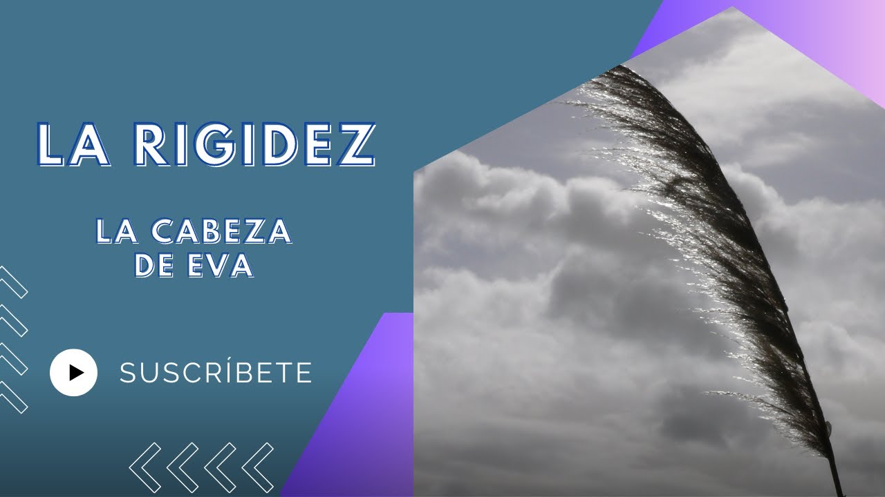 La rigidez_altas capacidades