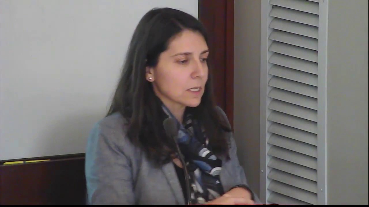 Macarena Sáez & Laurence Helfer | New Developments in LGBT Rights within the Inter-American System