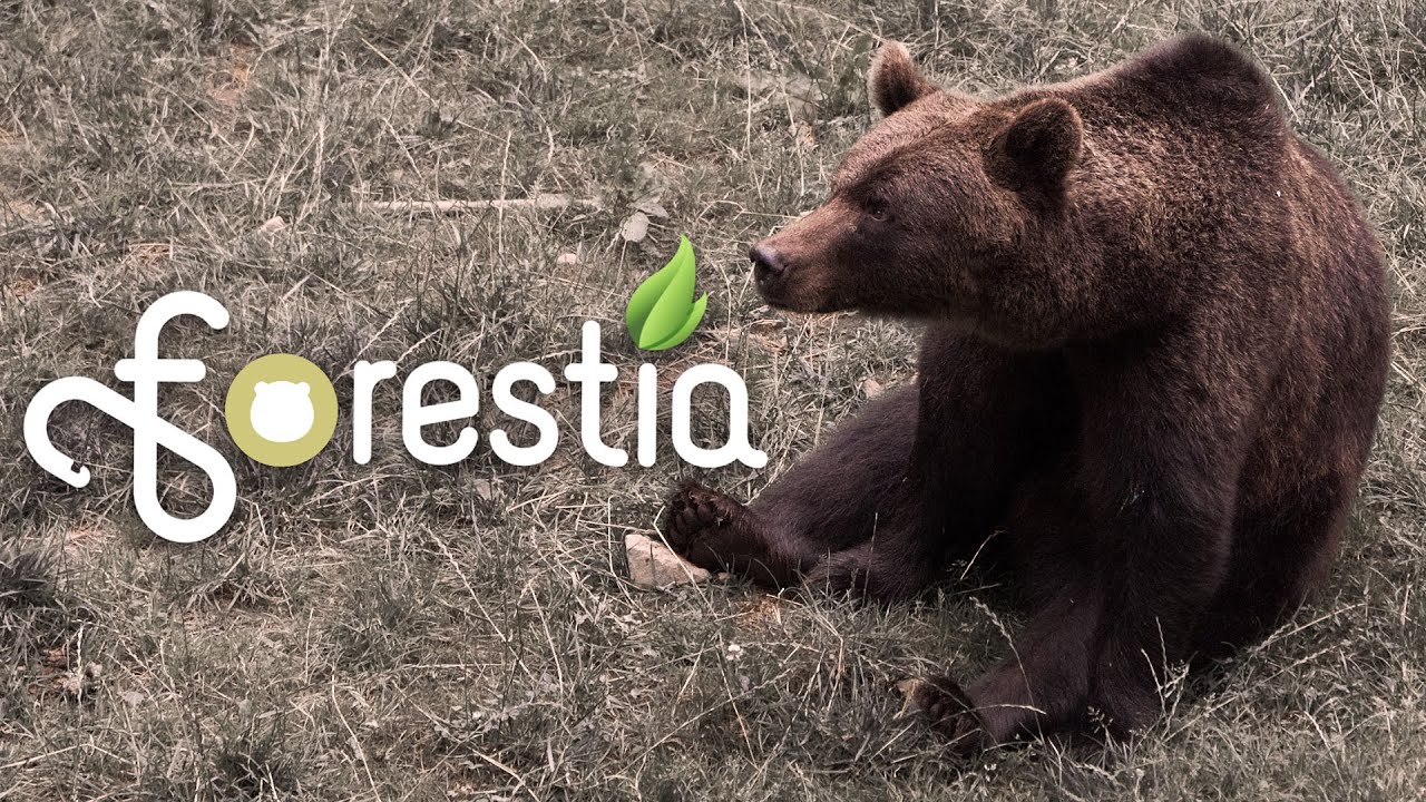 FORESTIA: Parc animalier (Theux, Belgique)