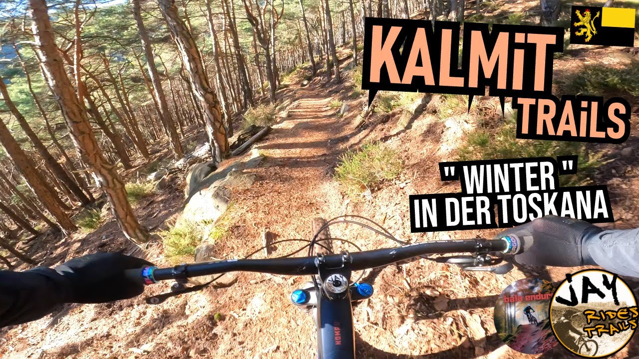 PFÄLZERWALD Kalmit: Weihnachts-Ride im Frühling? / Neustadt Weinstrasse / Mountainbike MTB Enduro