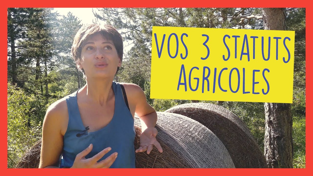 Vos 3 statuts agricoles : 4 min pour comprendre