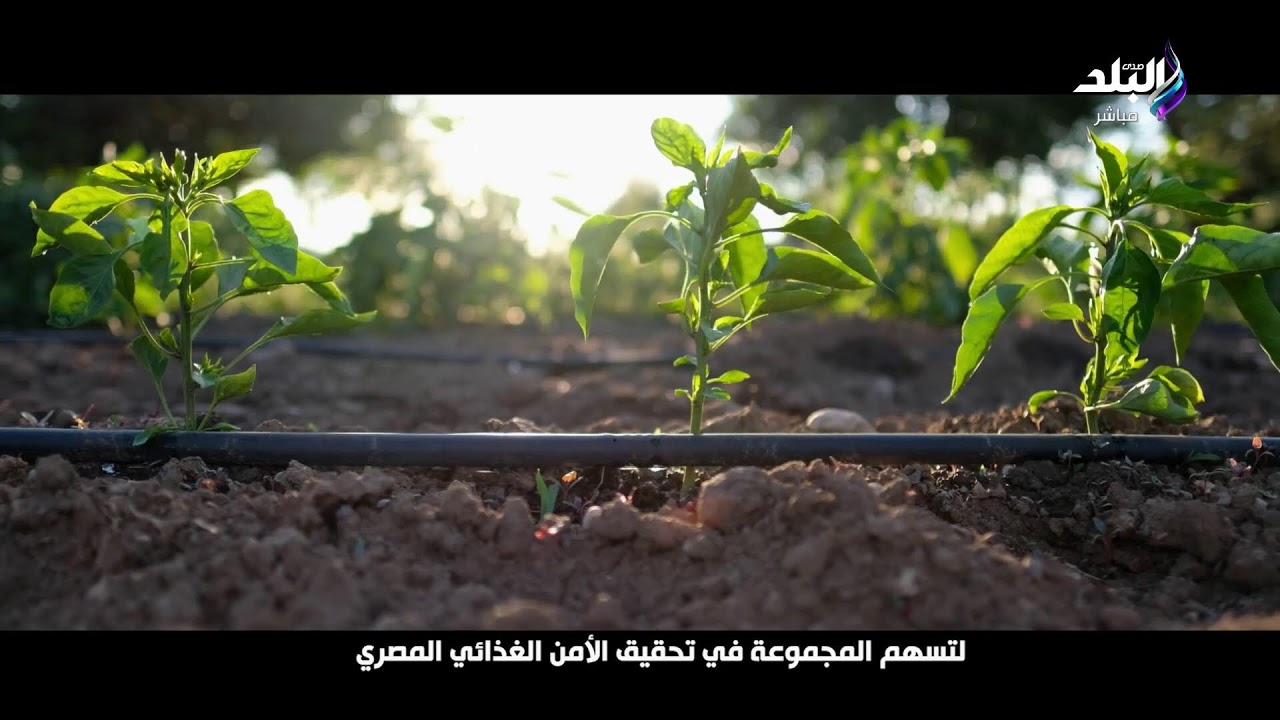 بث مباشر ..كامل الوزير يفتتح أحدث مصنع سيراميك لـ كليوباترا في العالم .. ينتج بلاطات بمقاسات عملاقة