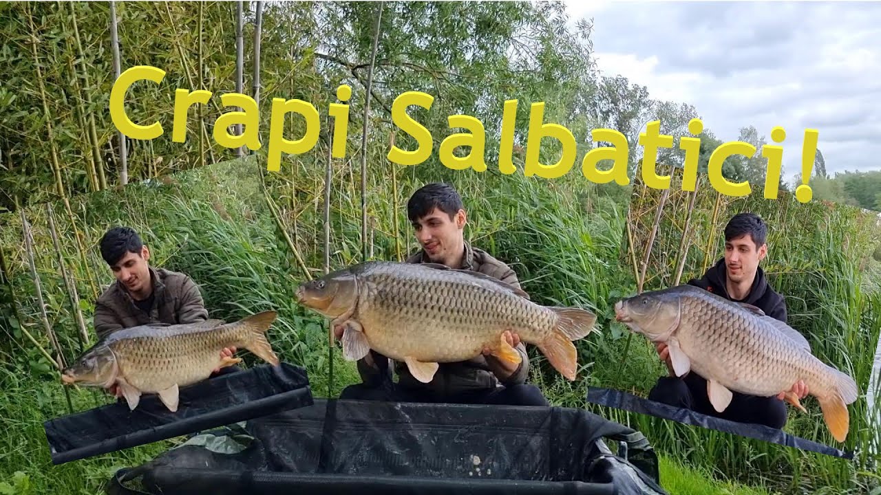 Pescuit Simplu, Corect, Eficient - Prinderea Crapului Salbatic