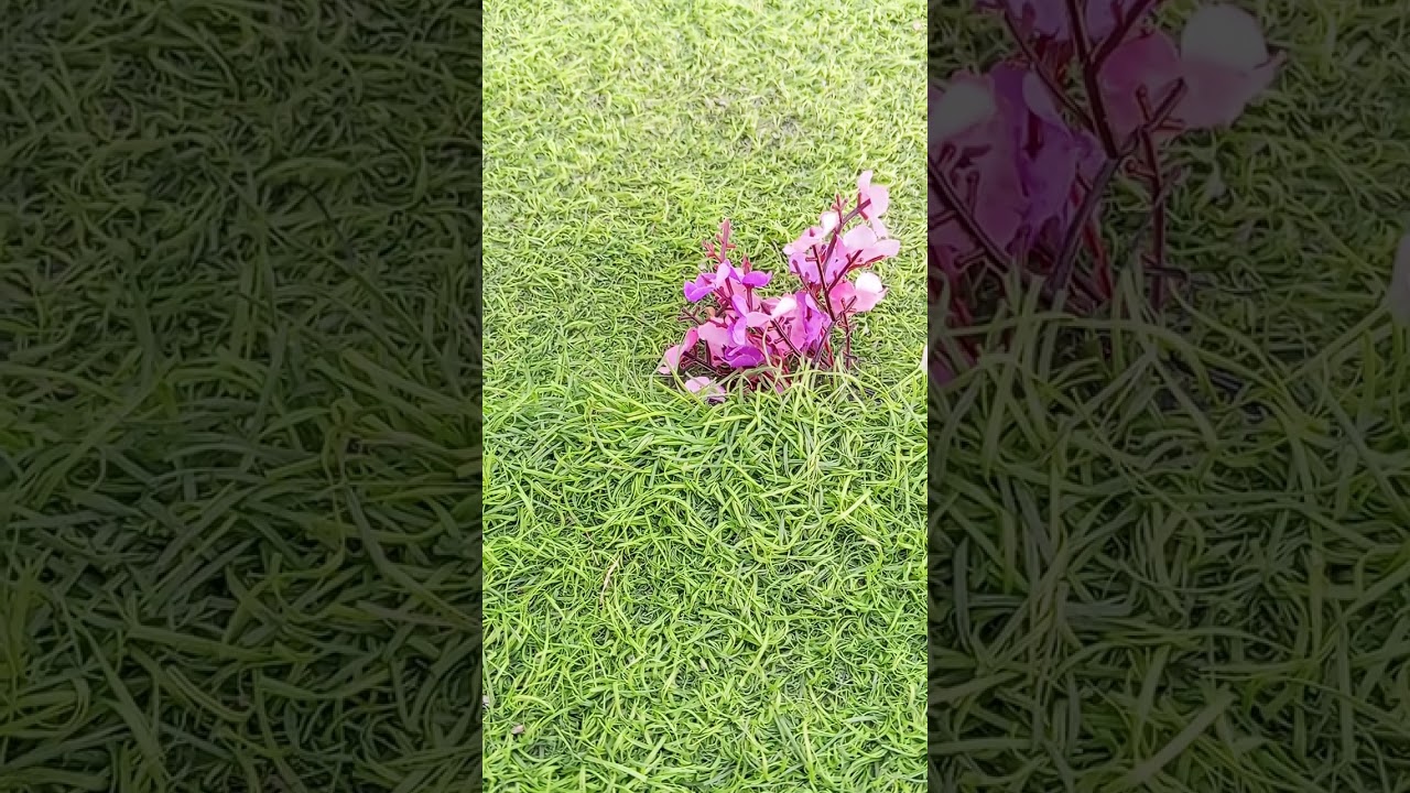 العمل على الذات من أهم المحاور 