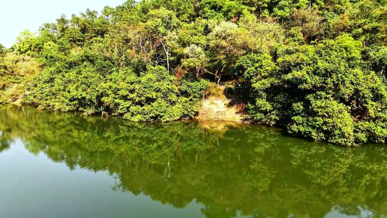 流水響落羽杉🍁 #drone #4k #djiair3s #流水響