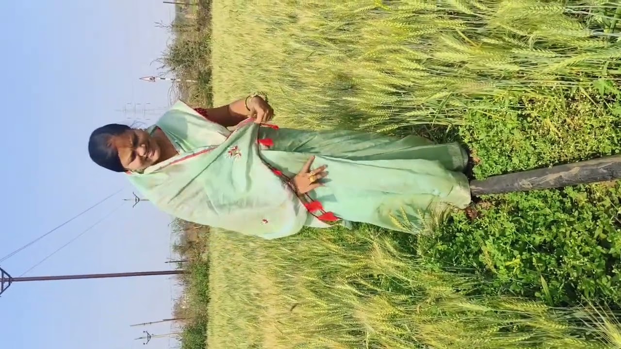 आज खेत गे रहे हव देखे ल मस्त होगे हमर गेहूं ह
