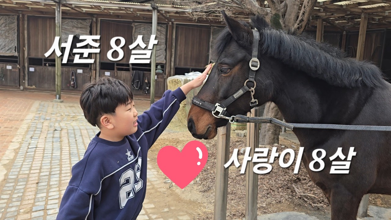 8살 꼬꼬마 서준이의 이야기 #3 #승마