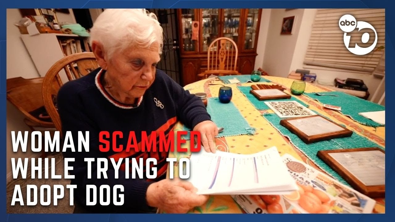 Woman loses $500 in dog adoption scam